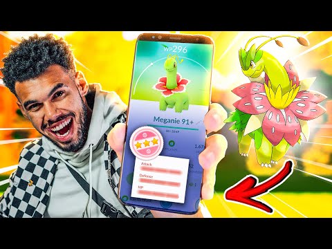A MEGANIUM PERFEITA PRA DESTRUIR O PVP - POKEMON GO | Cris |
