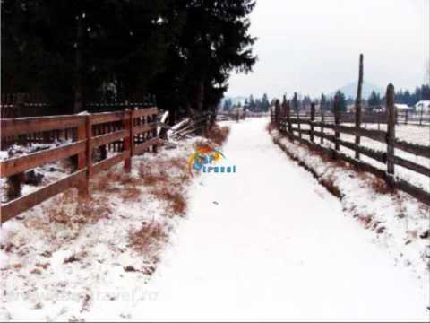 Cazare Pensiunea Daria Dorna candrenilor -  www.TourTravel.ro