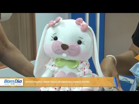 Artesã produz lindas peças decorativas usando feltro 04 02 2022