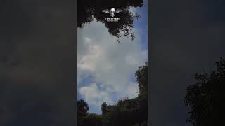 Download lagu Warmness on the soul | Avenged Sevenfold | #whatsappstatus #story #shorts mp3