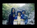 Shaun - Traveler