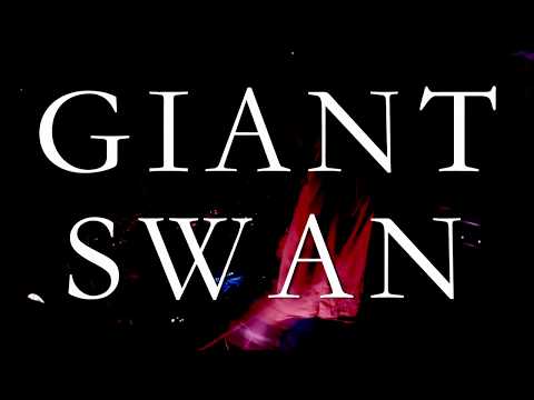 IMPATV 228 - GIANT SWAN - WOODLAND GATHERING 2019 FULL SET