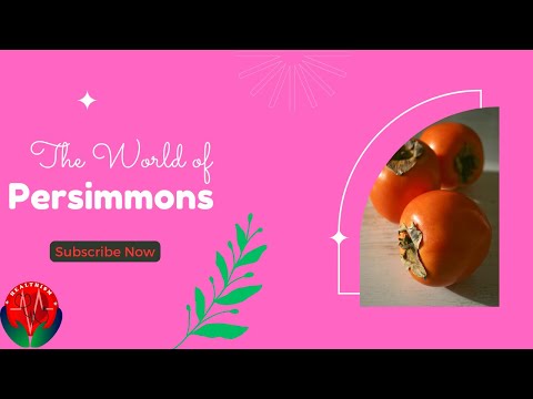 "Discover the World's Most Expensive Persimmon - Japanese persimmon - Dry persimmon.