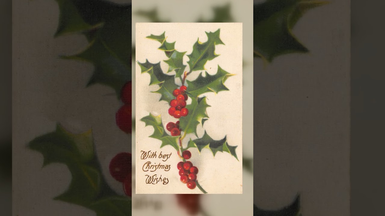 Printed in Germany, Divided Back Christmas Holly, Early 1900s Video