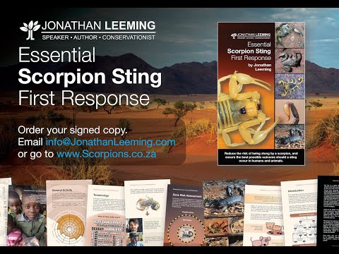 Scorpion Sting First Response Course 25th May 2025