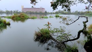 Download lagu 《Rhythm of the rain》《雨的旋律》羅東林業文化園區 mp3 Download lagu 《Rhythm of the rain》《雨的旋律》羅東林業文化園區 mp3