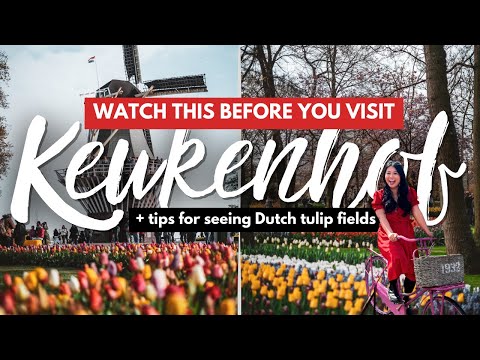 KEUKENHOF GARDENS GUIDE FOR 1ST TIMERS | What NOT to Do + Tips  for Seeing Dutch Tulip Fields