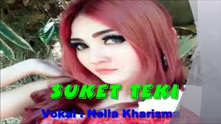 Download lagu NELLA KHARISMA - SUKET TEKI Liric HD 2018 mp3