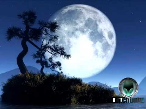 bruni bergeron-Theme From Nothingness(Original Mix)