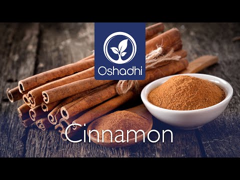Cinnamon (Cinnamomum verum) - Distillation process | Essential-Oil-Plant Portrait by Dr Malte Hozzel