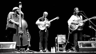 The Shallow End - Devon Sproule & Dan Zelisko