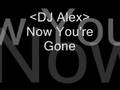 Now you're Gone - Dj alex 