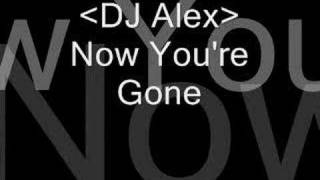 Now you're Gone - Dj alex