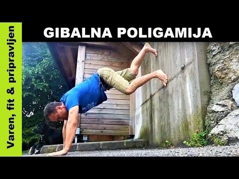 Gibalna poligamija je zakon! ;-)