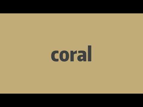 How to pronounce coral  -Elin's english