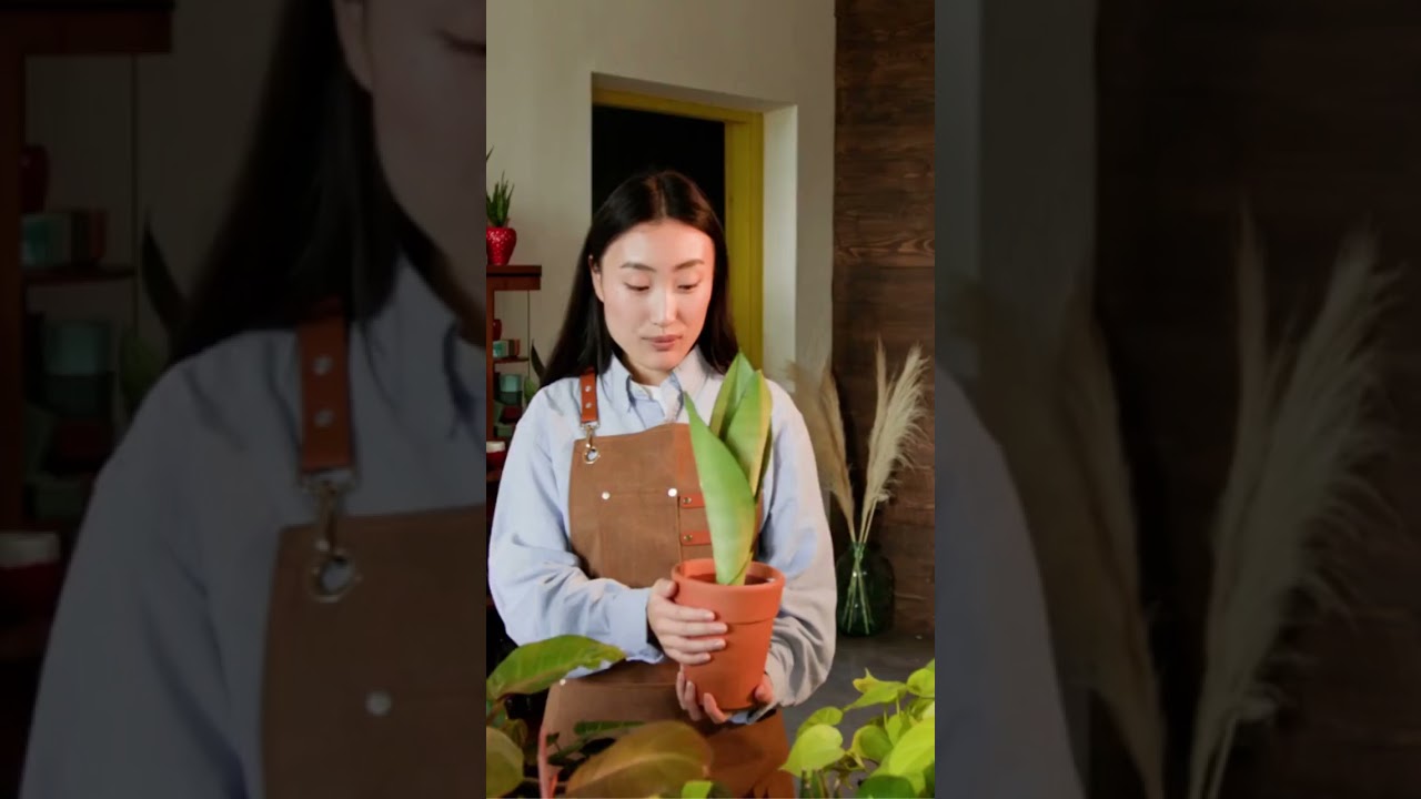 알바 퇴직금 받을 수 있을까? 주15시간 근무 기준 설명 유튜브 쇼츠