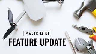 Massive Feature Update V01.00.0500 Firmware | DJI Mavic Mini
