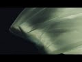 Ghostly Kisses - Carry Me (Acoustic)