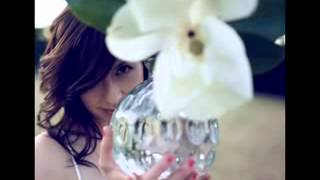 Joy Williams    Sunny Day