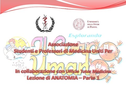 Lezione di ANATOMIA Precorsi 2016 - Parte 1