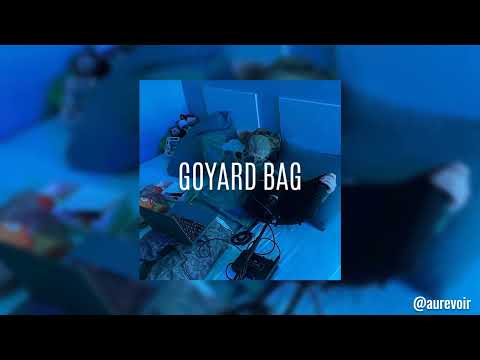 [FREE] elyaplugg! x uglystephan x Scally Milano Type Beat - "Goyard bag" [prod. aurevoir]