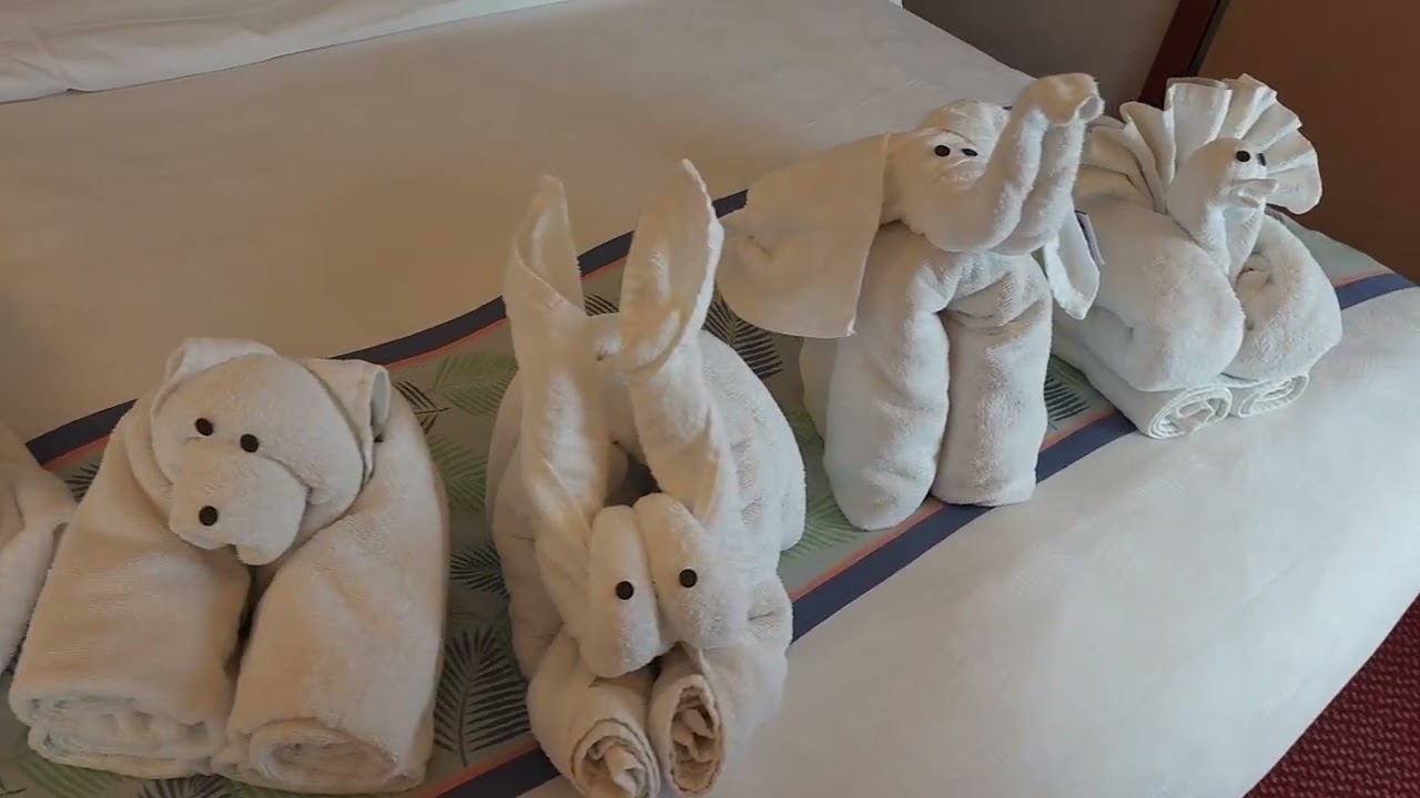 Carnival Dream - Cabin 8462 - Video 2
