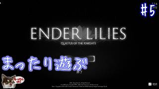[ENDER LILIES]探索回 ＃５