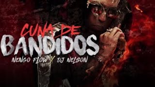 Ñengo Flow & DJ Nelson - Cuna de Bandidos [Official Audio]