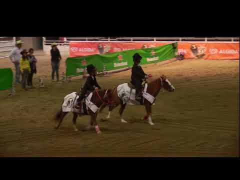 Matteo Cavaliere - Elisa Riva - Carosello Blues Brothers - W.S.G.A. 2017 - Voghera (PV)