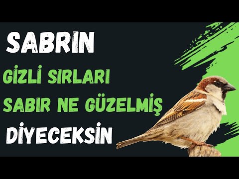 SABRIN GİZLİ SIRLARI - SABIR NEDE GÜZELMİŞ DİYECEKSİN - VOLKAN AKSOY