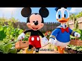 Mickey Mouse And Donald Duck S Golden Garden Secret