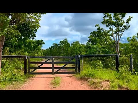 Fazenda à Venda em Araguapaz - GO: 1.000 Alqueires de Cerrado Bruto (Oportunidade)