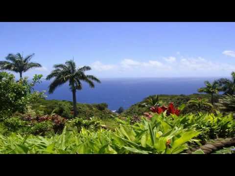 Ancient Realms XIII - Eden (Psybient / Downtempo / Psychill Mix)