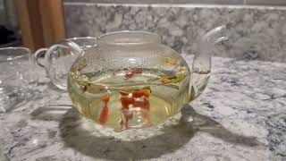 Teaverse Whole Ginseng Root & Goji Berry Herbal Tea | Looks Beautiful, Smells Great, Tastes Amazing