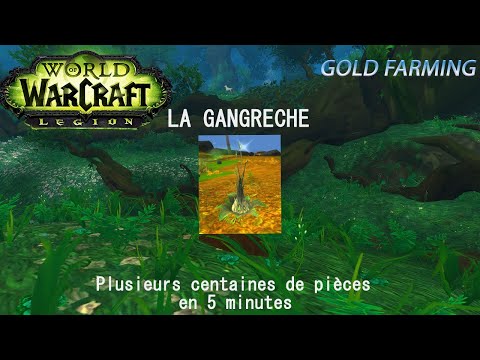 Gold farming World of Warcraft : 2000g en 5 minutes tout les 2 jours : La gangreche