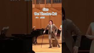Gus the Theatre Cat ガス　劇場ネコ　#cats #musical #劇団四季