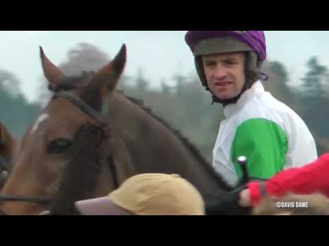 TAMMY'S HILL AT THE POINTS AND CHELTENHAM FOXHUNTERS CHAMPION