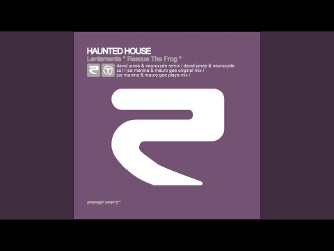 Lentamente (Rescue the Frog) (David Jones & Neuroxyde Cut)