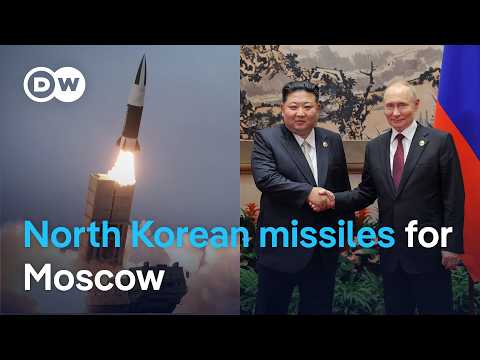 Ukraine suspects North Korean missile used in deadly strike | DW News
