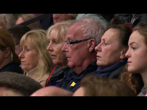 Fürsten Look Hengstkollektion Englisch 2019