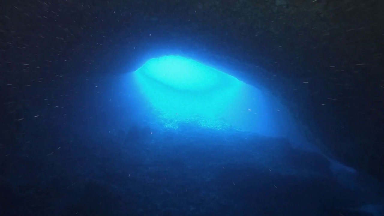 Experience scuba diving at Blue Cathedral and explore vibrant marine life