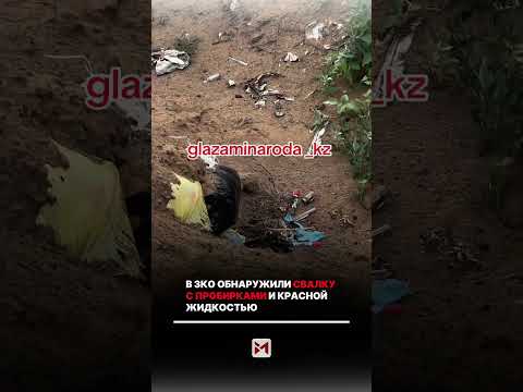 В Западно-Казахстанской области обнаружили пакет с пробирками, заполненными красной жидкостью.
