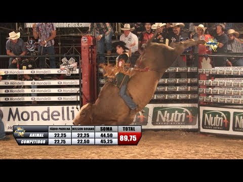 22º RIO PRETO COUNTRY BULLS 2018 - QUINTA FEIRA / MELHORES MONTARIAS