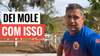 O DOMINGO NO SÍTIO ESTAVA  MUITO TRANQUILO ATÉ ACONTECER ISSO