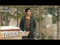 Brave And Beautiful Episode 36 Hindi Dubbed ब्रवे एंड ब्यॉटीफूल Ce