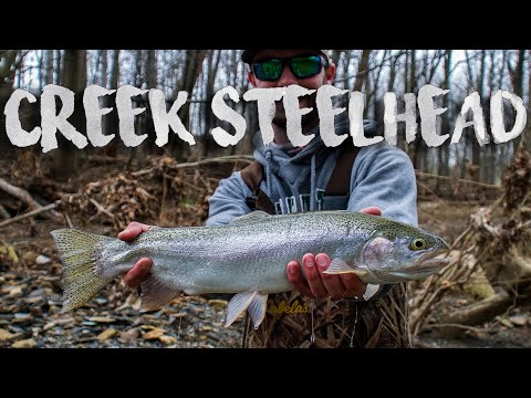 Fishing Tiny Creeks for Ohio Steelhead!!