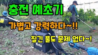 ES충전예초기 가볍고 강력하다 과수원밭에 질긴 풀도 문제 없어요 일반예초기와 비교해보았습니다
