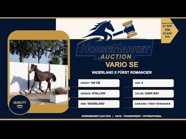 Vario SE