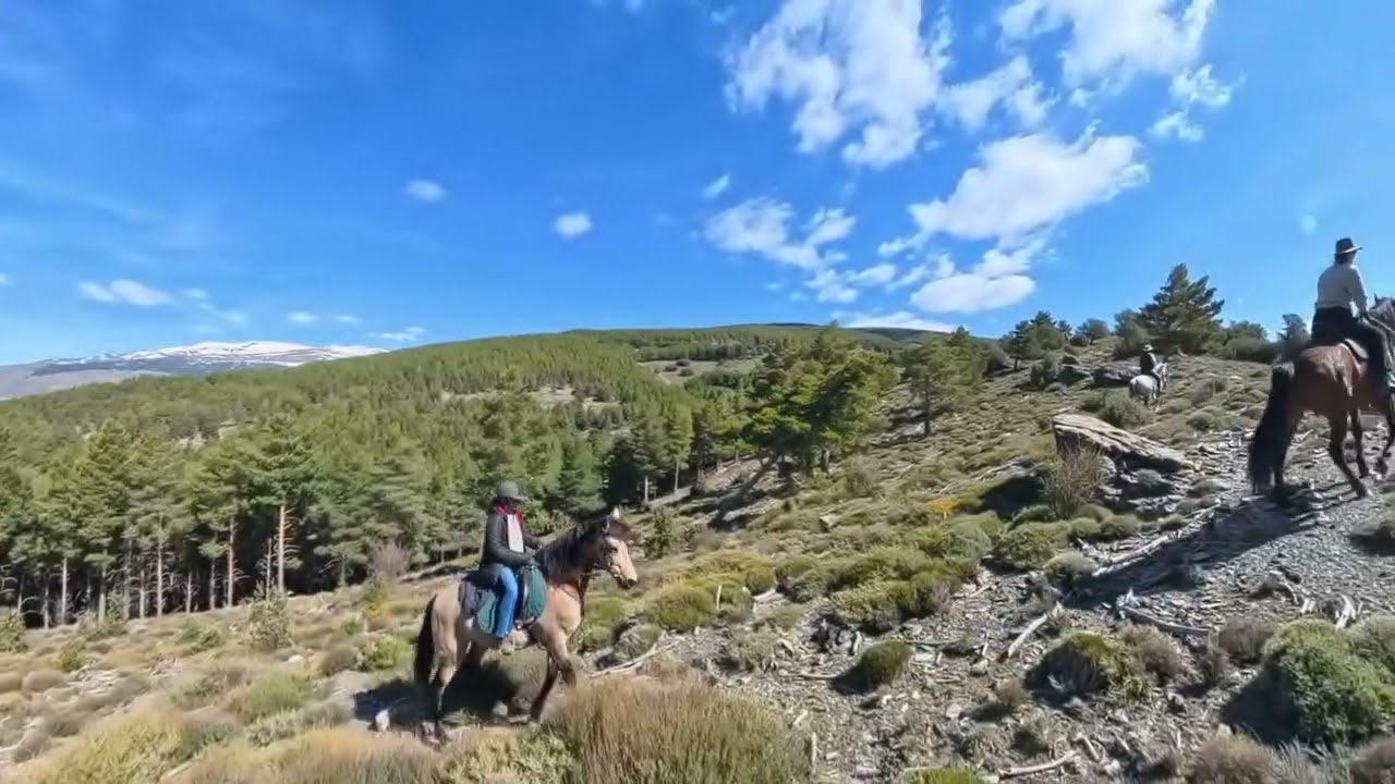 YouTube placeholder image