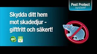Silverline - Mus & Råttfritt (alla produkter)